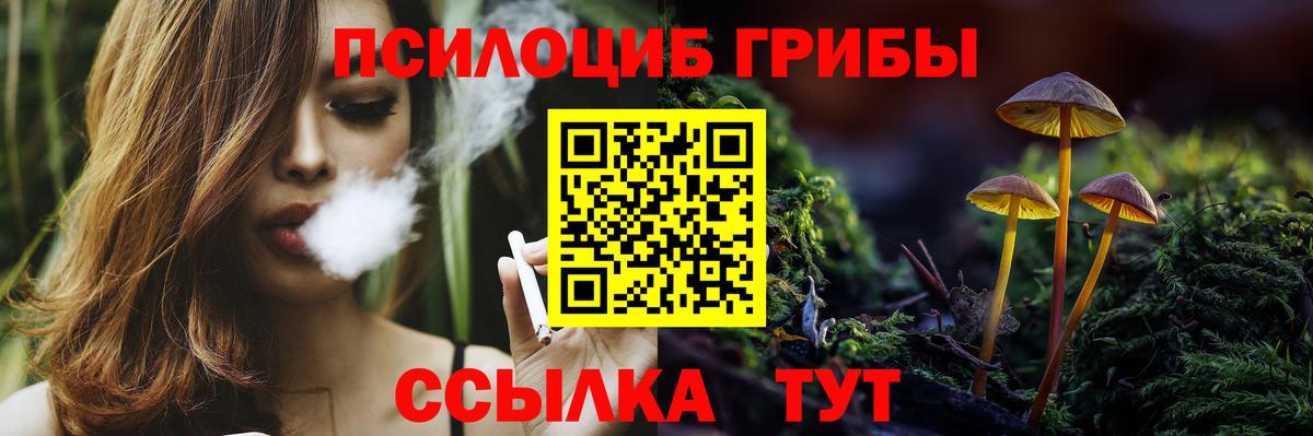 Псилоцибиновые грибы Psilocybine cubensis  Галлюциногенные грибы прущие грибы  Вход с VPN  Коммунар 